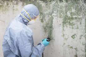 Best Residential Mold Inspection & Testing  in Trainer, PA